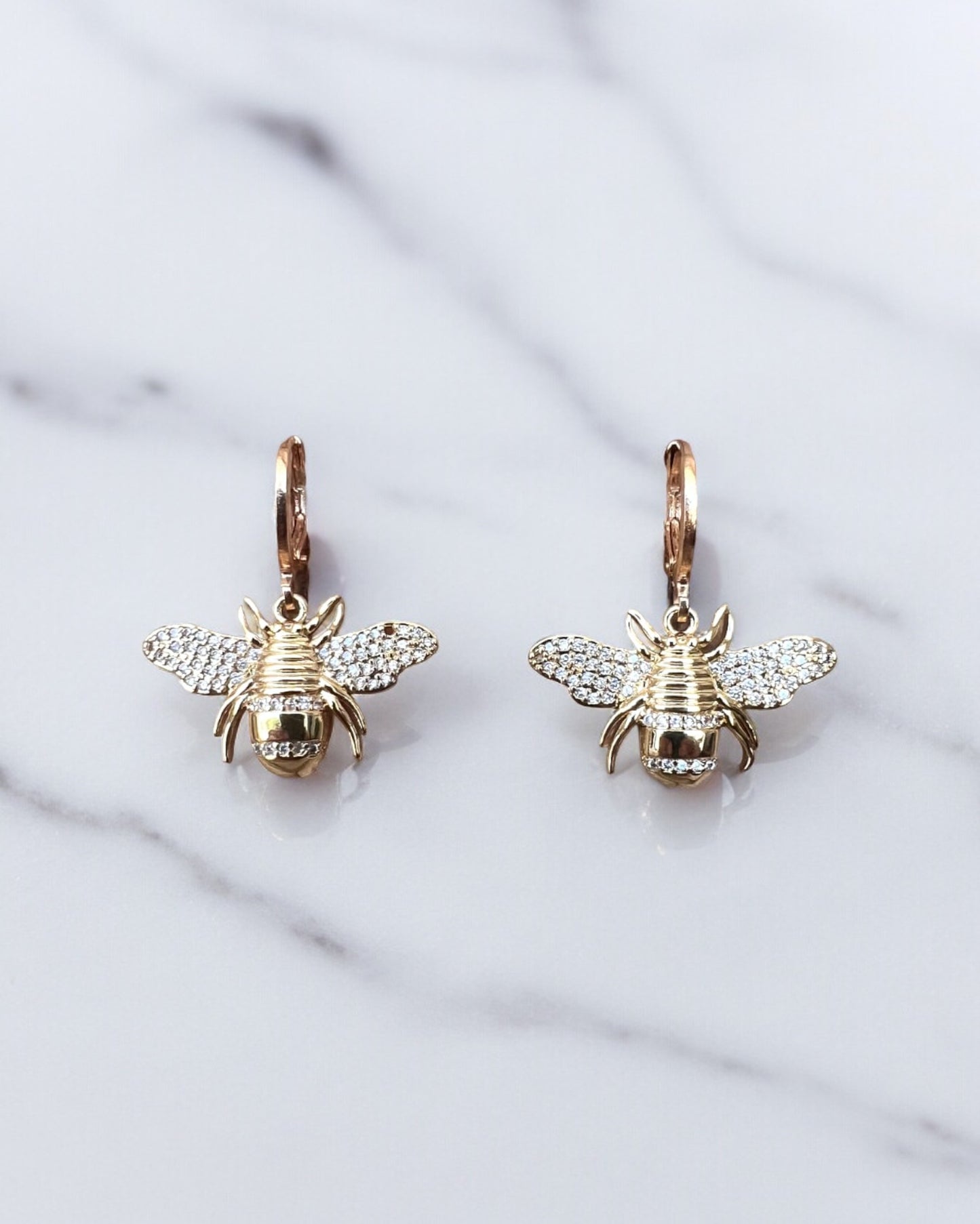 Aretes Insect