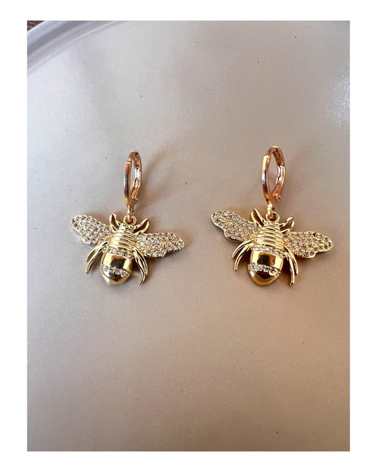 Aretes Insect